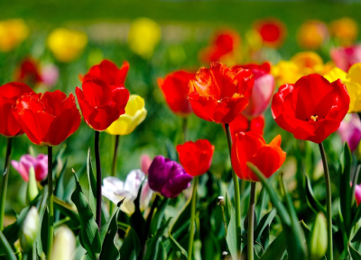NOTICE – Public holidays on 1. 5. and 8. 5. 2023