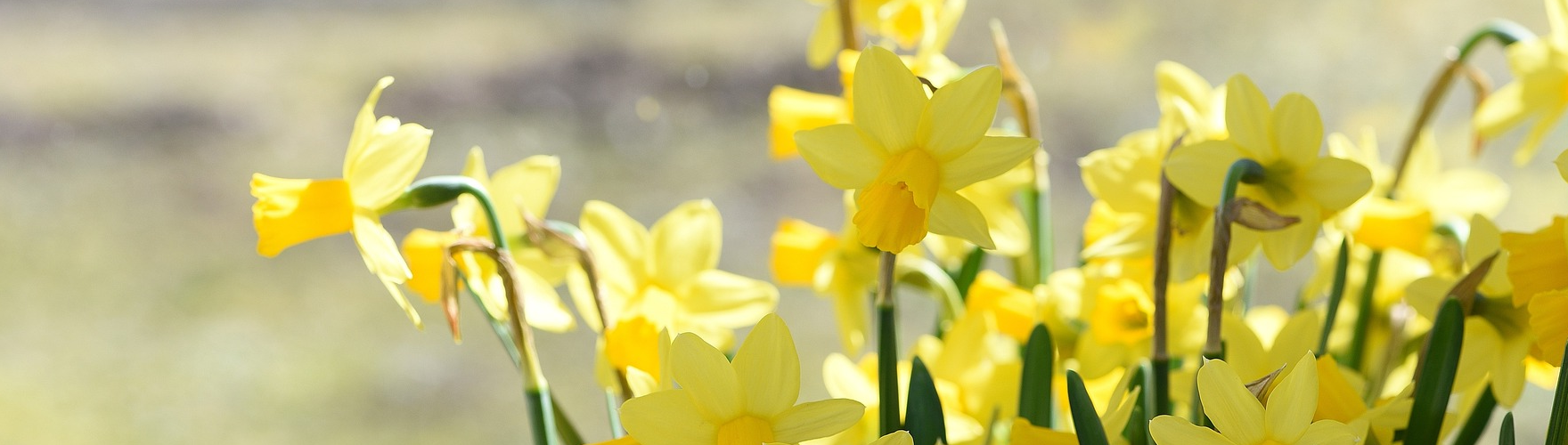 Happy Easter to all from EVPU Defence!