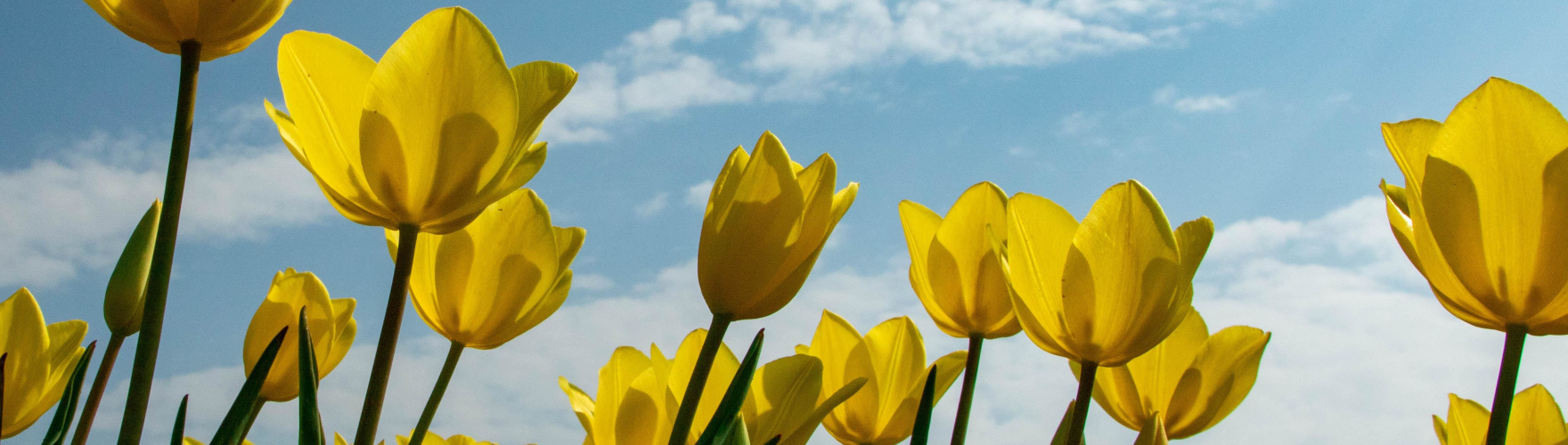 Happy Easter to all from EVPU Defence!