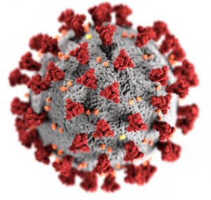 COVID-19 information and precautions