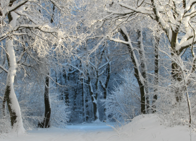 UPOZORNĚNÍ - omezení provozu 20. 12.…